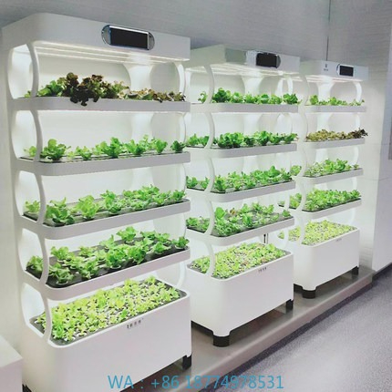 Diy Home Automation System - Iydroponic Automated Grow SystemIntelligentes Hydroponic Growing